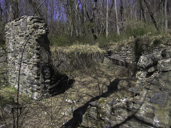 Picture 7 of Camp Michaux Hike 032616