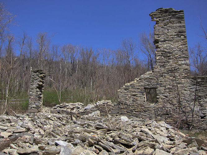 Picture 8 of Camp Michaux Hike 032616