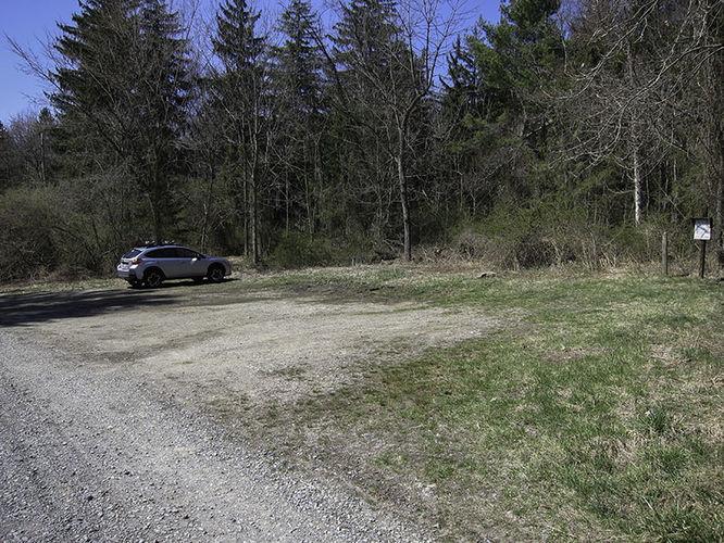 Picture 9 of Camp Michaux Hike 032616