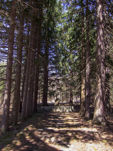 Picture 12 of Camp Michaux Hike 032616