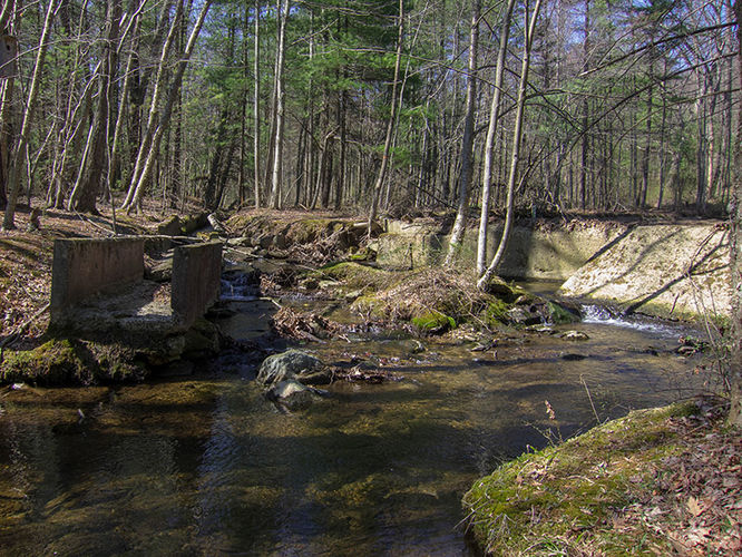 Picture 14 of Camp Michaux Hike 032616