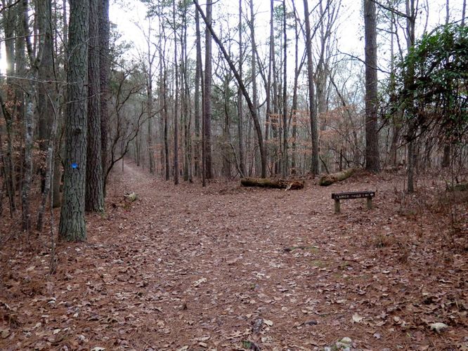 Picture 33 of Campbell Creek and Lanier Falls Hike 122115