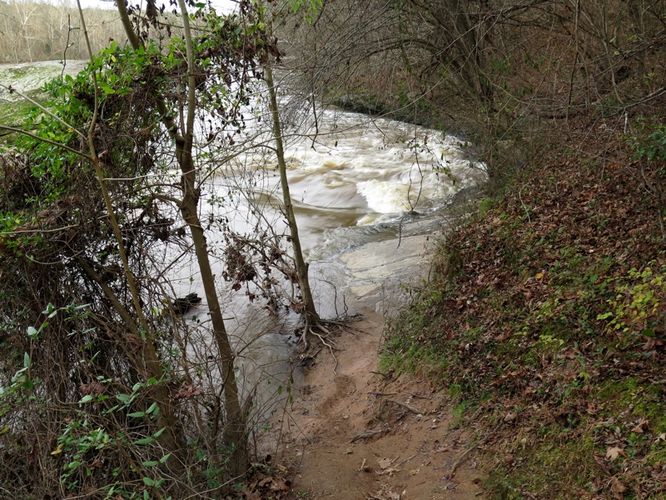 Picture 34 of Campbell Creek and Lanier Falls Hike 122115