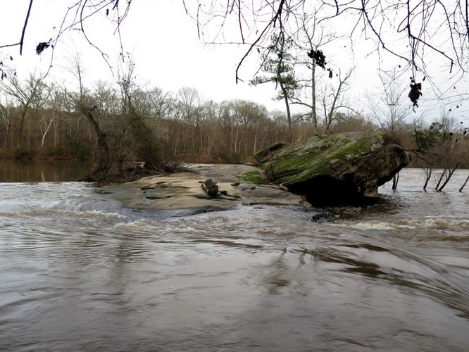 Picture 37 of Campbell Creek and Lanier Falls Hike 122115