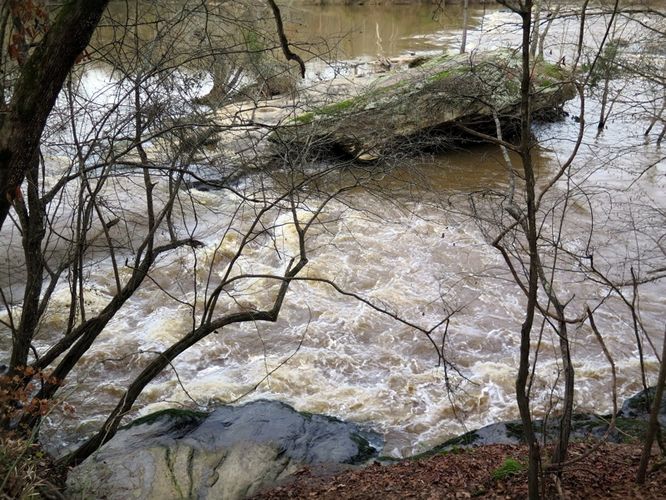 Picture 42 of Campbell Creek and Lanier Falls Hike 122115