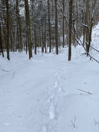 Hiking out along my snow-traced path