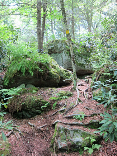 Picture 4 of Canaan Mountain and Table Rock 053114