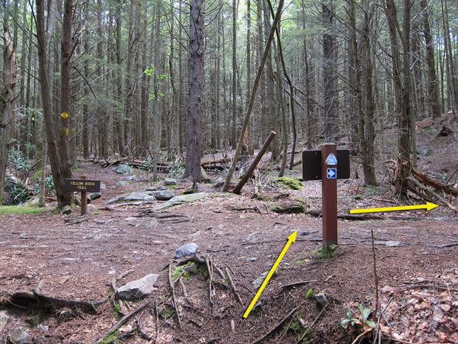 Picture 5 of Canaan Mountain and Table Rock 053114