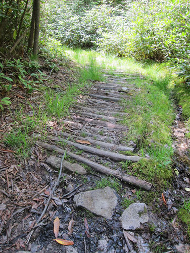 Picture 7 of Canaan Mountain and Table Rock 053114