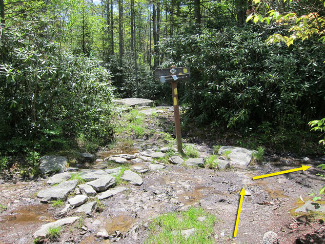 Picture 9 of Canaan Mountain and Table Rock 053114