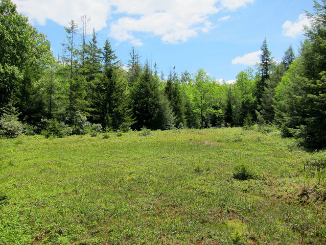 Picture 10 of Canaan Mountain and Table Rock 053114