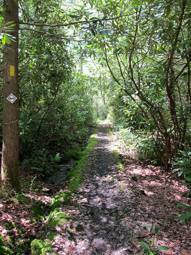 Picture 11 of Canaan Mountain and Table Rock 053114