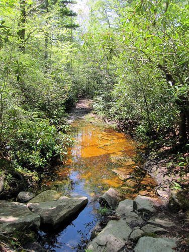 Picture 12 of Canaan Mountain and Table Rock 053114