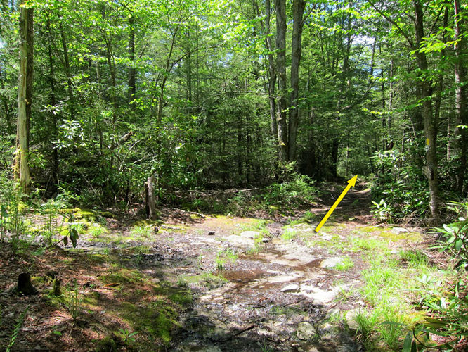 Picture 13 of Canaan Mountain and Table Rock 053114