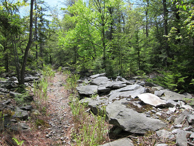 Picture 14 of Canaan Mountain and Table Rock 053114