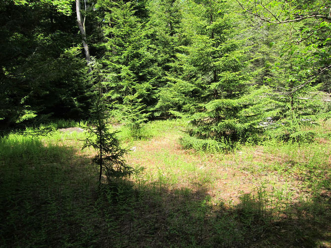 Picture 16 of Canaan Mountain and Table Rock 053114