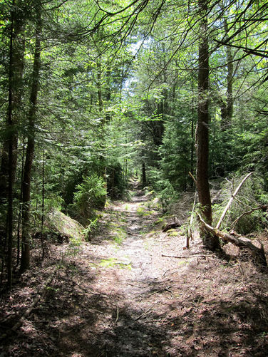 Picture 17 of Canaan Mountain and Table Rock 053114