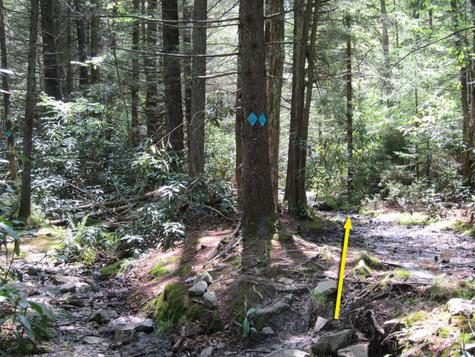 Picture 19 of Canaan Mountain and Table Rock 053114