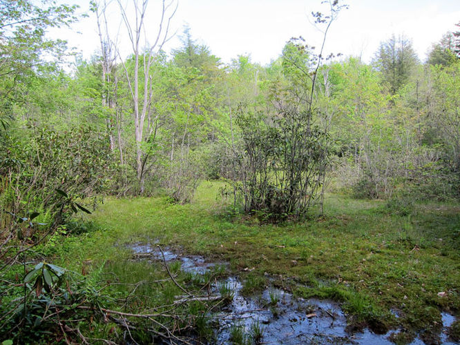 Picture 21 of Canaan Mountain and Table Rock 053114