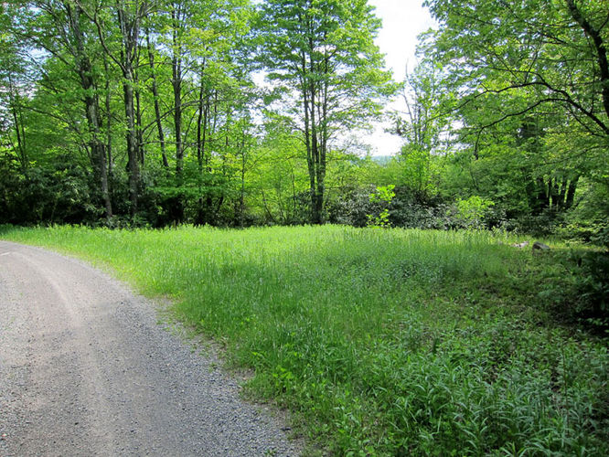 Picture 23 of Canaan Mountain and Table Rock 053114