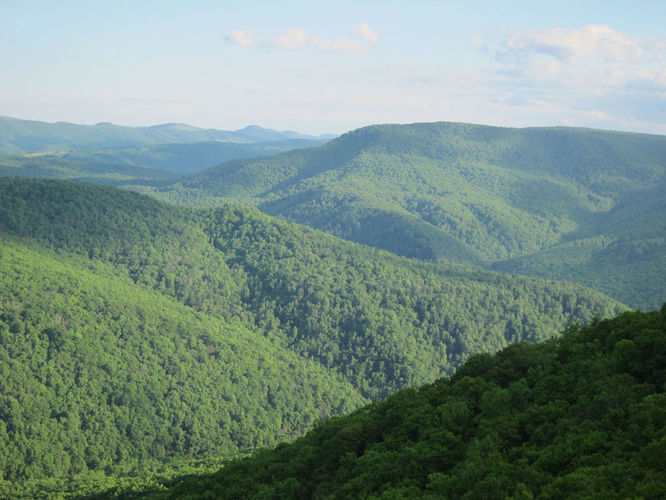 Picture 25 of Canaan Mountain and Table Rock 053114