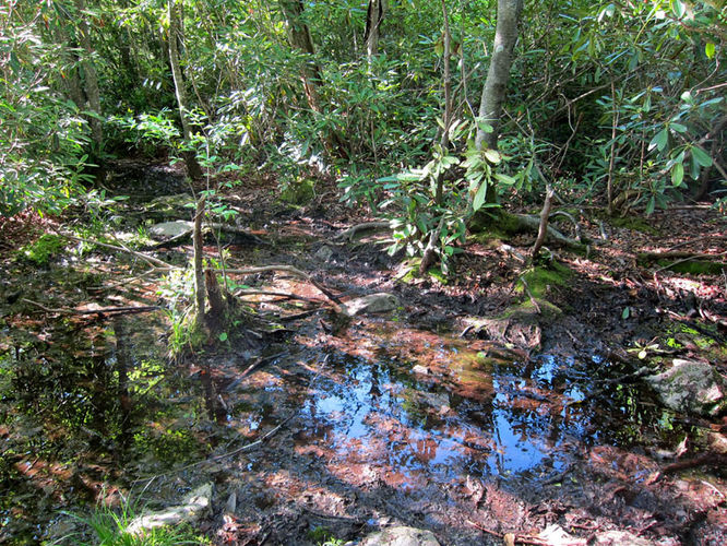 Picture 28 of Canaan Mountain and Table Rock 053114