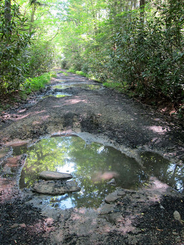 Picture 32 of Canaan Mountain and Table Rock 053114