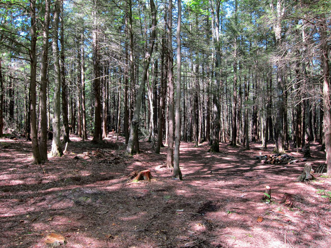 Picture 33 of Canaan Mountain and Table Rock 053114