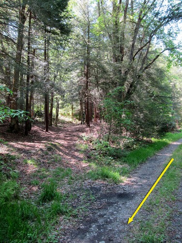 Picture 34 of Canaan Mountain and Table Rock 053114