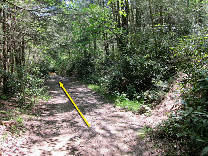 Picture 37 of Canaan Mountain and Table Rock 053114