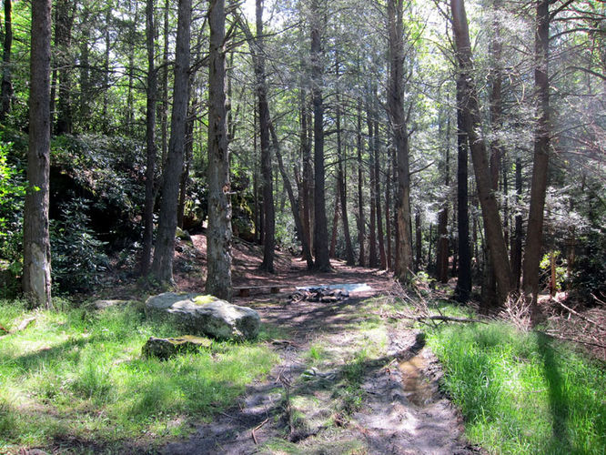 Picture 40 of Canaan Mountain and Table Rock 053114