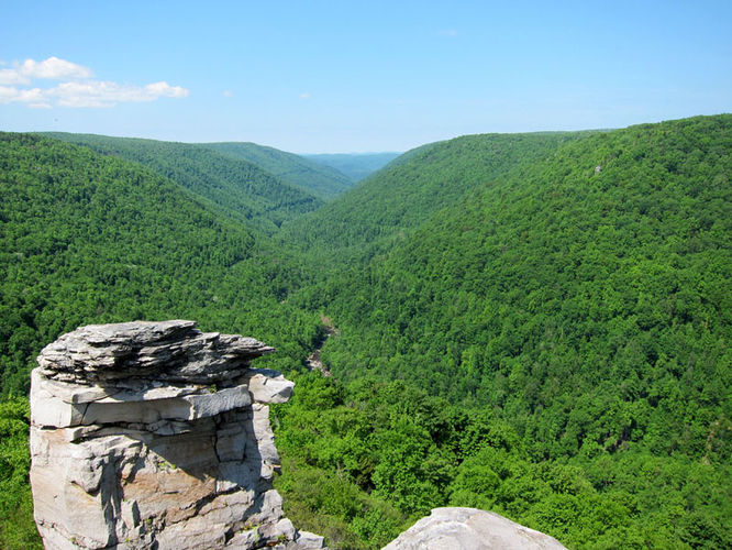 Default image for Canaan Mountain and Table Rock Hike, a 17.8-mile trail in Davis, WV (US)