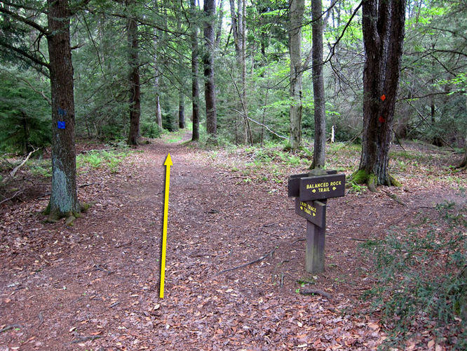 Picture 44 of Canaan Mountain and Table Rock 053114