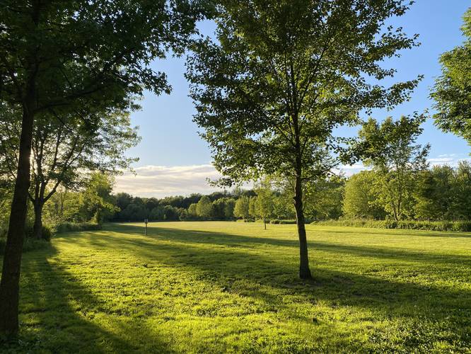 Open meadow of Canfield Island