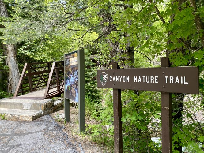 Canyon Nature Trail trailhead sign