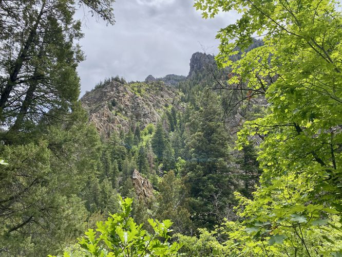Towering cliffs of Mt. Timp