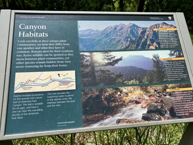 Picture 9 of Canyon Nature Trail