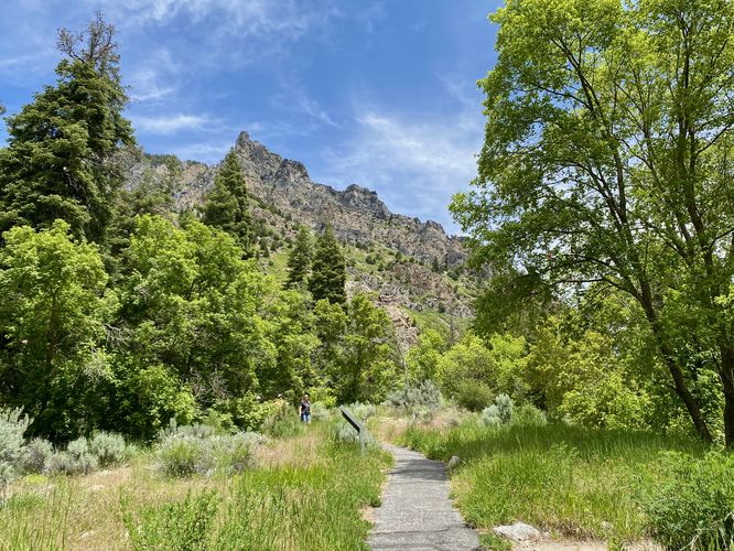 Canyon Nature Trail