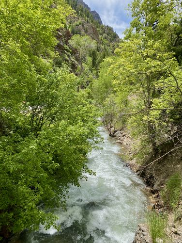 View of the American Fork River from the footbridge
