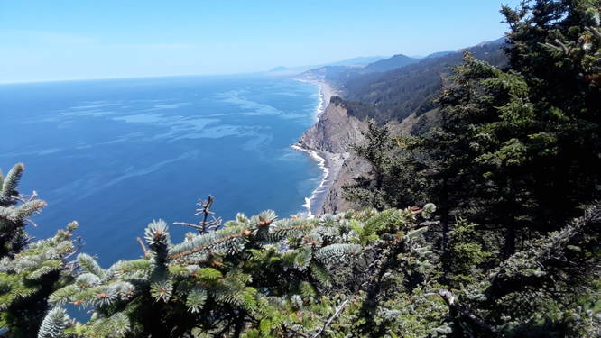 Cape Sebastian Trail (Coast Trail)