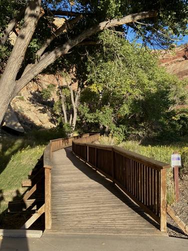 Boardwalk leads to more petroglyphs