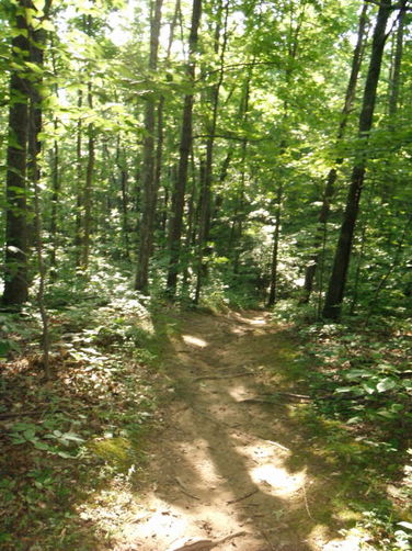 Picture 5 of Carvin Cove Hay Rock Hike 062511
