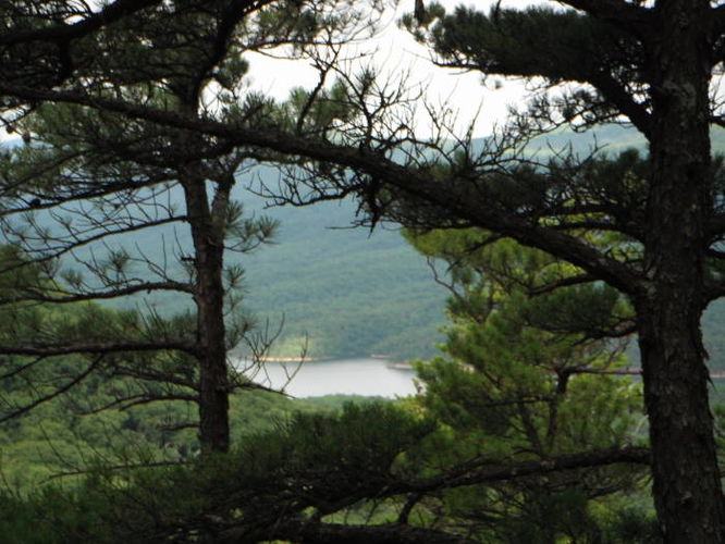 Picture 9 of Carvin Cove Hay Rock Hike 062511