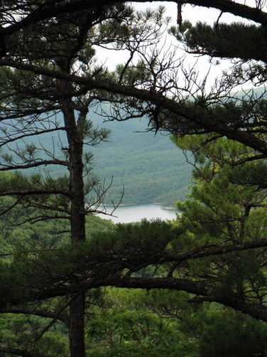 Picture 10 of Carvin Cove Hay Rock Hike 062511