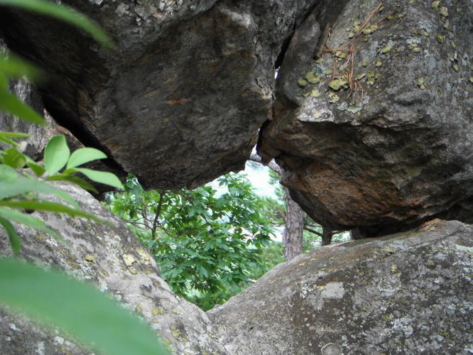 Picture 11 of Carvin Cove Hay Rock Hike 062511