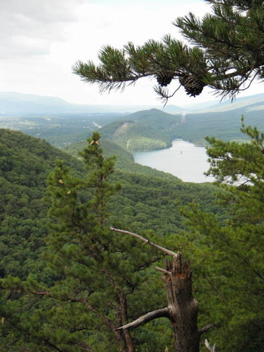 Picture 13 of Carvin Cove Hay Rock Hike 062511