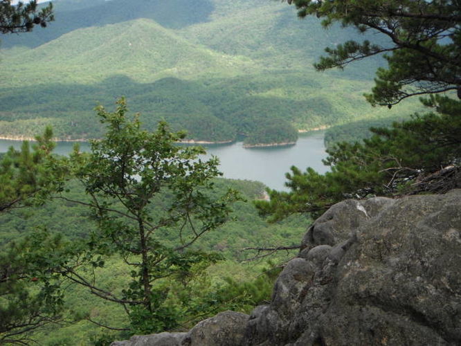 Picture 16 of Carvin Cove Hay Rock Hike 062511