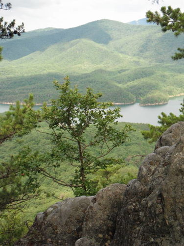 Picture 17 of Carvin Cove Hay Rock Hike 062511