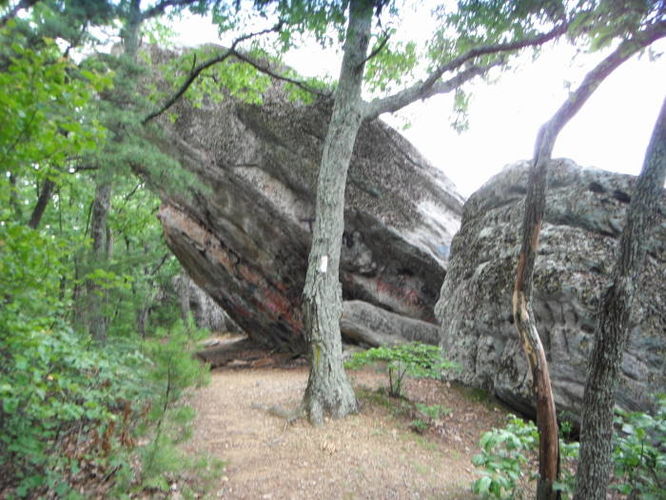 Picture 22 of Carvin Cove Hay Rock Hike 062511