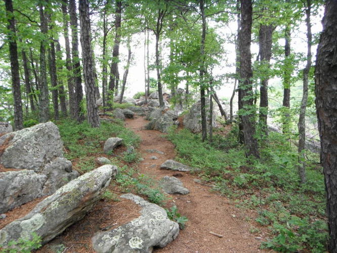 Picture 27 of Carvin Cove Hay Rock Hike 062511